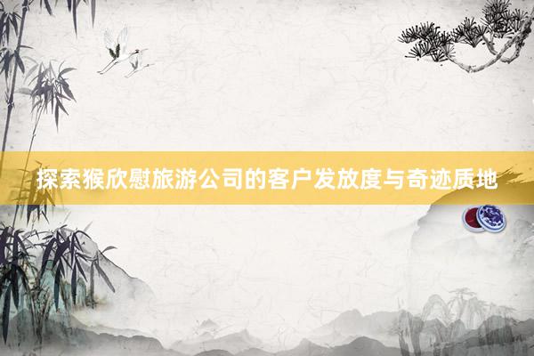 探索猴欣慰旅游公司的客户发放度与奇迹质地